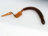 Artificial Fishing Soft Plastic Lure