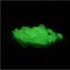 Glow Night Realistic Artificial Fishing Lures