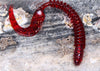 Artificial Fishing Soft Plastic Lure